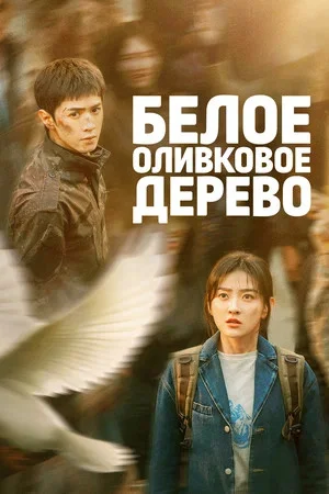 Белое оливковое дерево - постер сериала